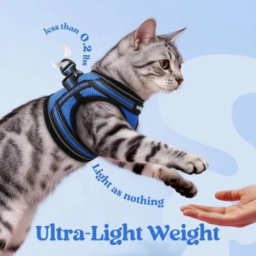 rabbitgoo Cat Harness and Leash Set, Step-in Soft Vest, Blue | Adjustable Escape-Resistant Fit thumbnail 6