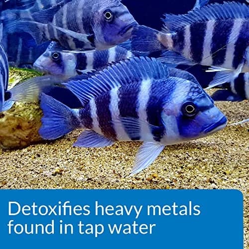 API Accu-Clear Freshwater Aquarium Water Clarifier & Tap Water Conditioner 8oz + 16oz | Clears Cloudy Water & Makes Tap Water Safe for Fish thumbnail 7