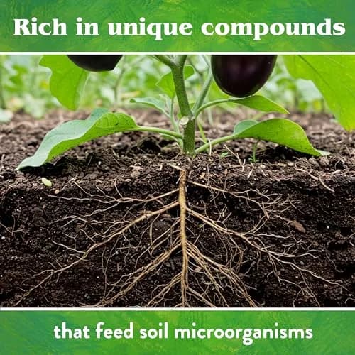 Down To Earth All Natural Fertilizers Organic Crab Meal - 4 lb | Organic, Slow-Release, Supports Soil Microbes thumbnail 8