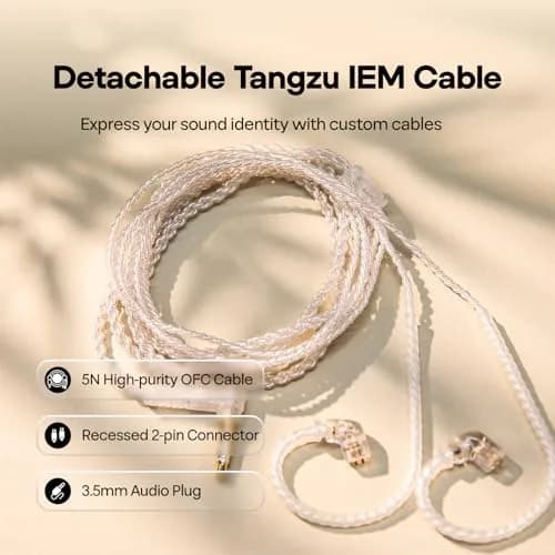 Linsoul TANGZU Wan'er S.G 10mm DD Driver IEM with Metal Nozzle & 0.78mm 2Pin Cable | Black thumbnail 6