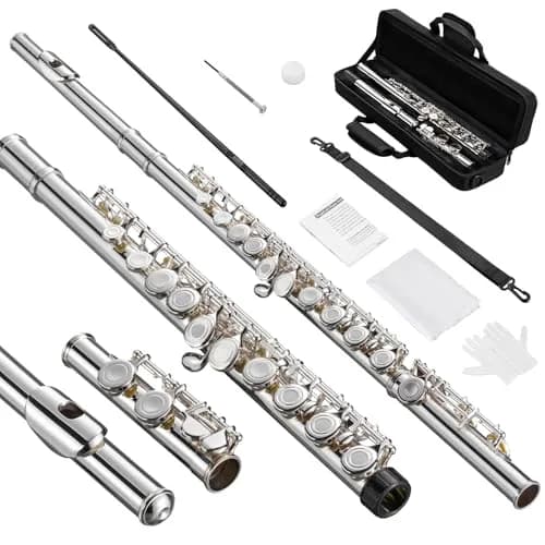 POGOLAB Open Hole C Flute 16 Keys Silver Plated Beginner & Advanced with Carry Bag thumbnail 1