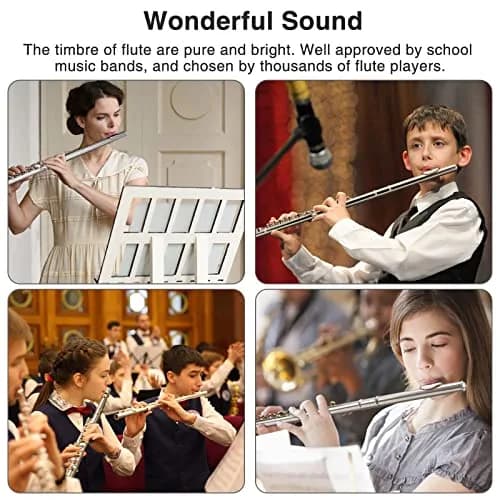 POGOLAB Open Hole C Flute 16 Keys Silver Plated Beginner & Advanced with Carry Bag thumbnail 6
