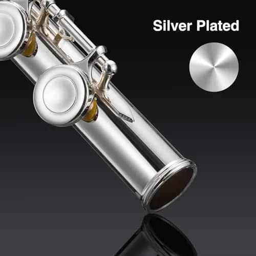 POGOLAB Open Hole C Flute 16 Keys Silver Plated Beginner & Advanced with Carry Bag thumbnail 8