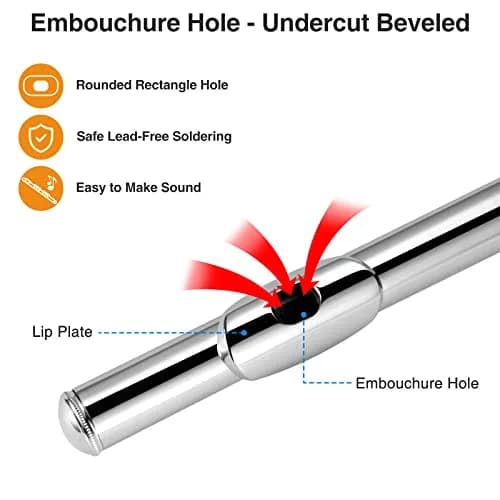POGOLAB Open Hole C Flute 16 Keys Silver Plated Beginner & Advanced with Carry Bag thumbnail 3