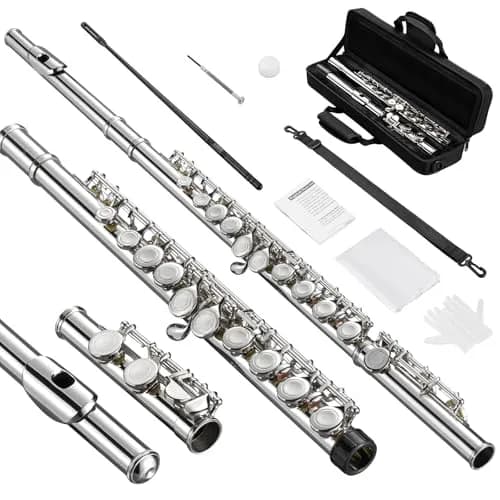 POGOLAB Closed Hole C 16 Keys Flute for Student Beginners | Nickel Plated, Easy to Play, with Accessories thumbnail 1
