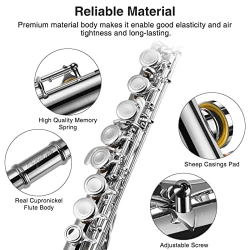 POGOLAB Closed Hole C 16 Keys Flute for Student Beginners | Nickel Plated, Easy to Play, with Accessories thumbnail 2
