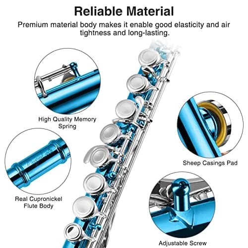 POGOLAB Flutes, Closed Hole C 16 Keys Flute for Beginners, Sky Blue | Student Brass & Woodwind Instrument thumbnail 2