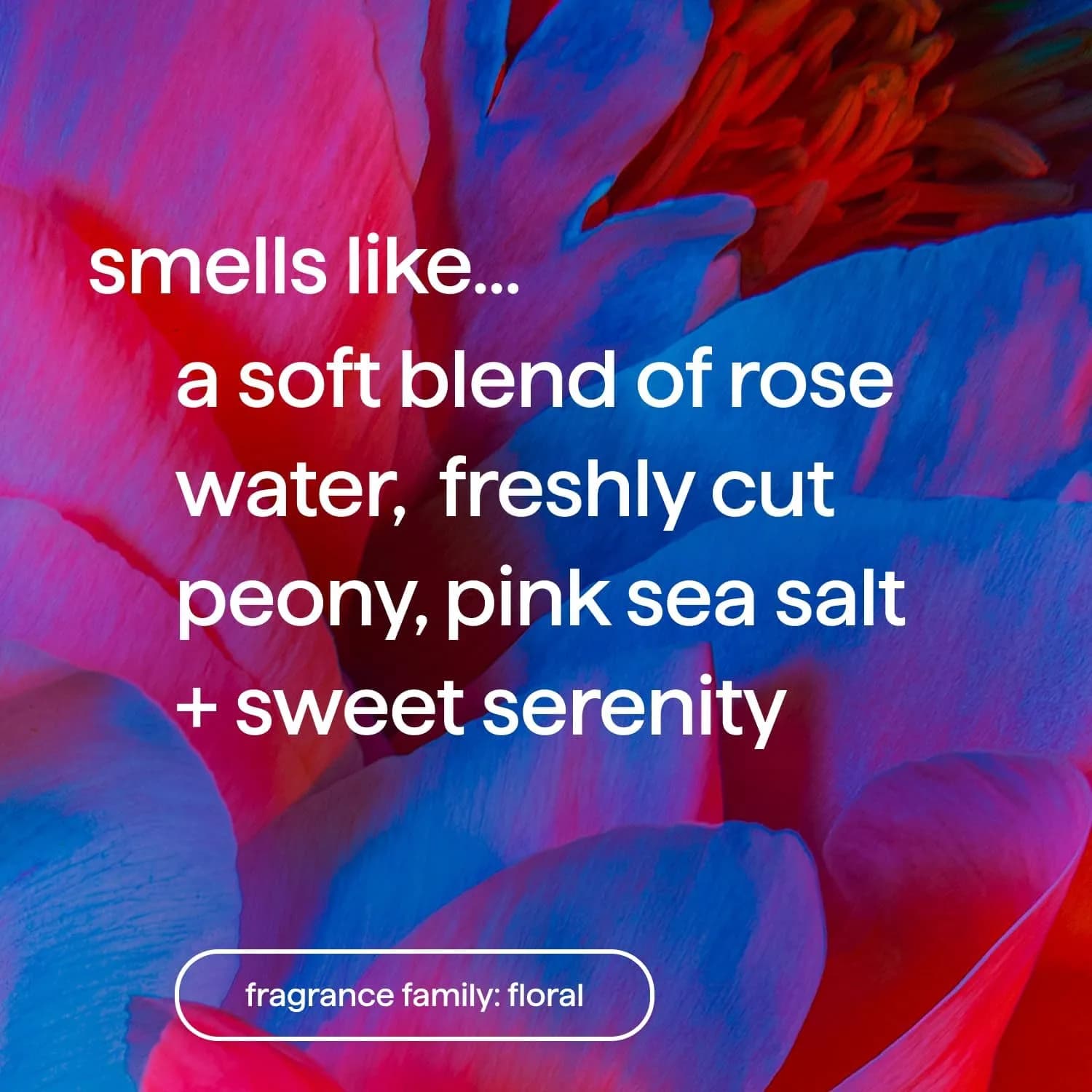 Method Pure Peace Body Wash with Peony, Rose Water & Pink Sea Salt, 794g (28 oz) | Gentle Hydrating Cleanser thumbnail 2