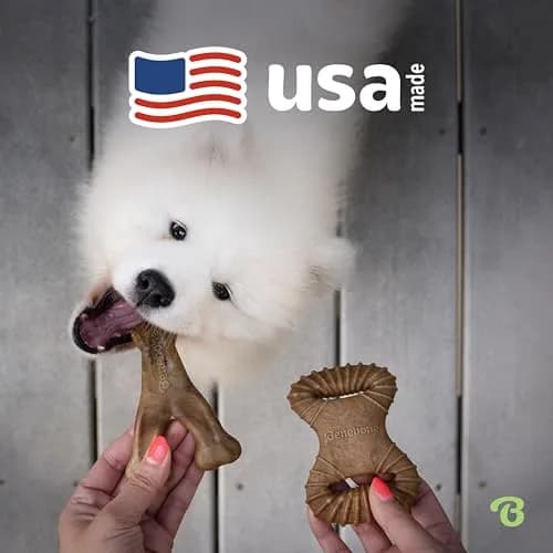Benebone 2-Count Wishbone/Dental Dog Chew Toys, Small | Real Bacon, Durable Nylon, Made in USA thumbnail 5