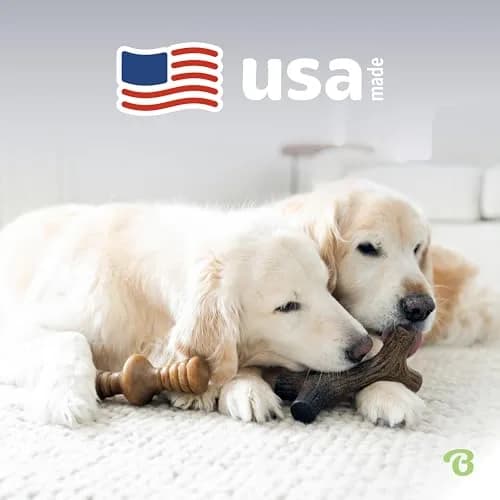 Benebone 2-Pack Maplestick & Zaggler Durable Dog Chew Toys, Large | Real Bacon & Maple Flavors, Made in USA thumbnail 5