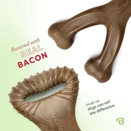 Benebone 2-pack Wishbone/Dental Dog Chew Toys, Medium | Real Bacon Flavor, Durable Nylon Chew thumbnail 2