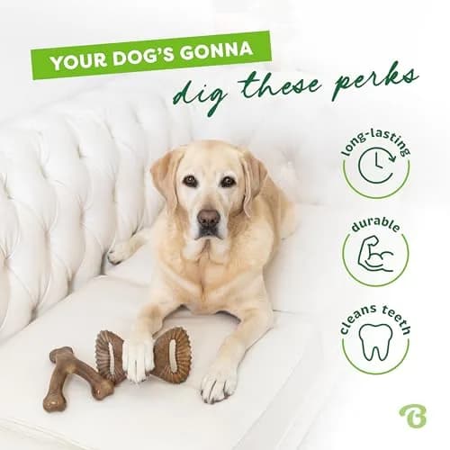 Benebone 2-pack Wishbone/Dental Dog Chew Toys, Medium | Real Bacon Flavor, Durable Nylon Chew thumbnail 3