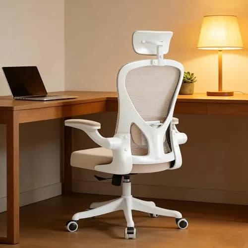 SICHY AGE High Back Mesh Office Desk Chair with Adjustable Lumbar Support & Flip-Up Armrests (Khaki, 20.8in deep, 22in wide, 43in tall) thumbnail 1