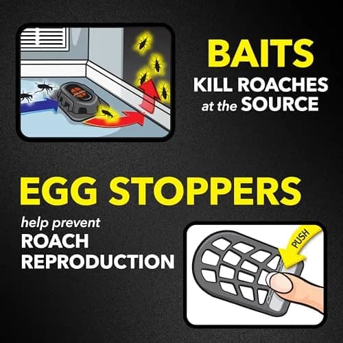 Raid Double Control Small Roach Baits 12 Count | Kills Roaches & Stops Eggs in India thumbnail 3
