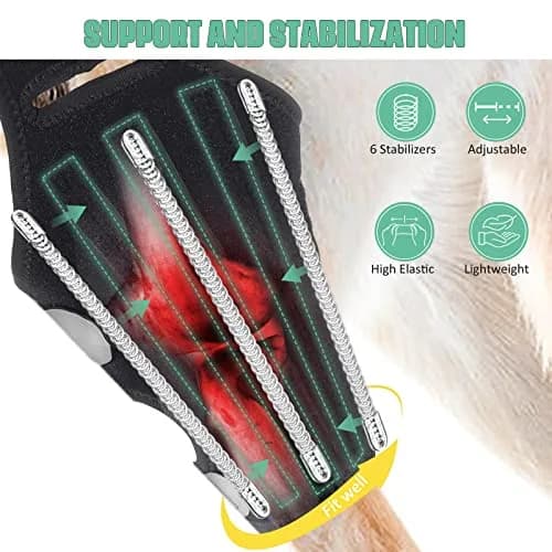 Lyderpet Dog ACL Brace for Rear Leg XL | Supports Cruciate Ligament Injuries & Post-Surgery Recovery thumbnail 2