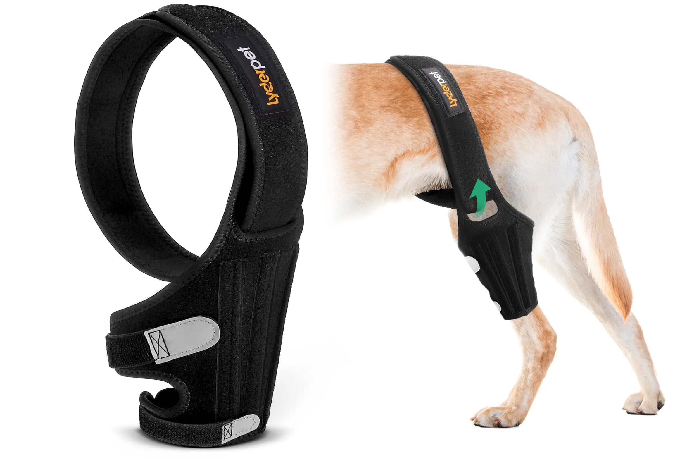Lyderpet Dog ACL Brace for Rear Leg XL | Supports Cruciate Ligament Injuries & Post-Surgery Recovery — L