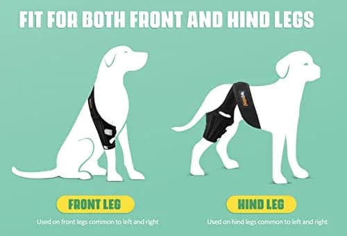Lyderpet Dog Knee Brace for Torn ACL Hind Leg, Medium Size | Strong Support for Joint Care thumbnail 4