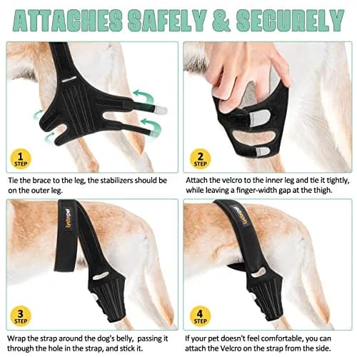 Lyderpet Dog Knee Brace for Torn ACL Hind Leg, Medium Size | Strong Support for Joint Care thumbnail 6