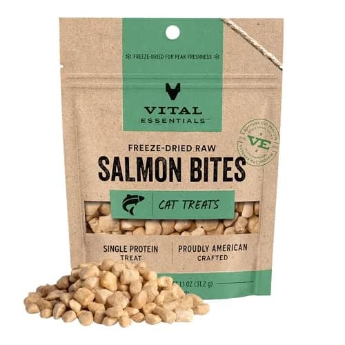 Vital Essentials Freeze Dried Salmon Cat Treats 1.1 oz (31 g) | High Protein Raw Cat Food thumbnail 1