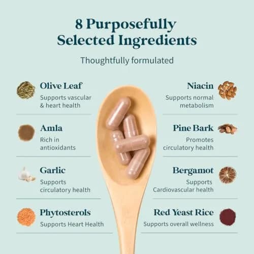 Pattern Wellness Cholesterol Complex Supplement – 90 Vegan Capsules thumbnail 4