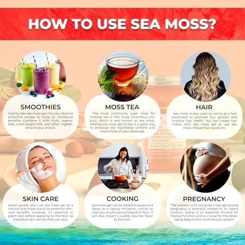 WELLNESS LABSRX Strawberry Sea Moss Gel 300ml (10 Fl Oz) | Nutrient-Rich Superfood for Wellness thumbnail 8