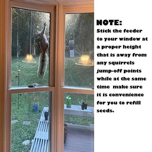 Forfuture-go Bird Feeder Birds House for Outdoor Window Wild Birds, Cardinal, Bluebird | Acrylic, Clear, 5.91in x 2.36in x 5.91in thumbnail 7