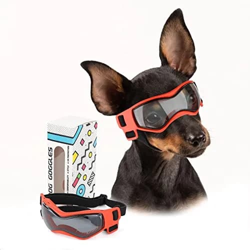 PETLESO Small Breed Dog Goggles UV Protection Puppy Eyewear for Outdoor Riding Driving, Orange S | Curved Lens & Soft Frame thumbnail 1