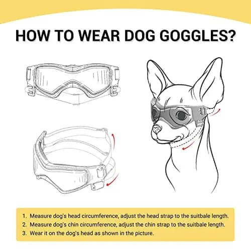 PETLESO Small Breed Dog Goggles UV Protection Puppy Eyewear for Outdoor Riding Driving, Orange S | Curved Lens & Soft Frame thumbnail 6
