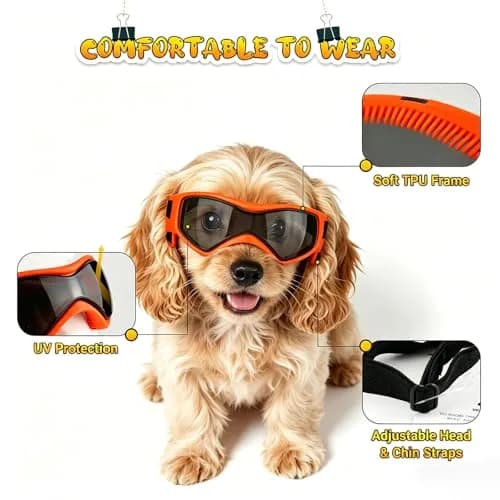 PETLESO Small Breed Dog Goggles UV Protection Puppy Eyewear for Outdoor Riding Driving, Orange S | Curved Lens & Soft Frame thumbnail 3