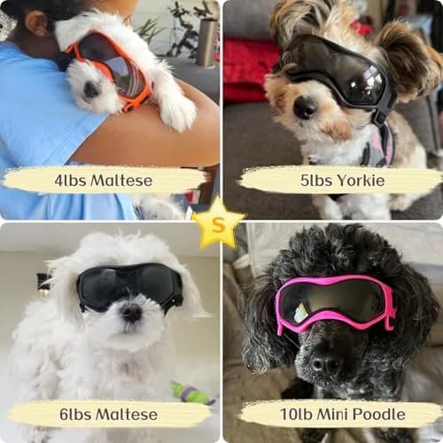 PETLESO Small Breed Dog Goggles | UV Protection Puppy Eyewear for Outdoor Riding Driving, Black S thumbnail 7