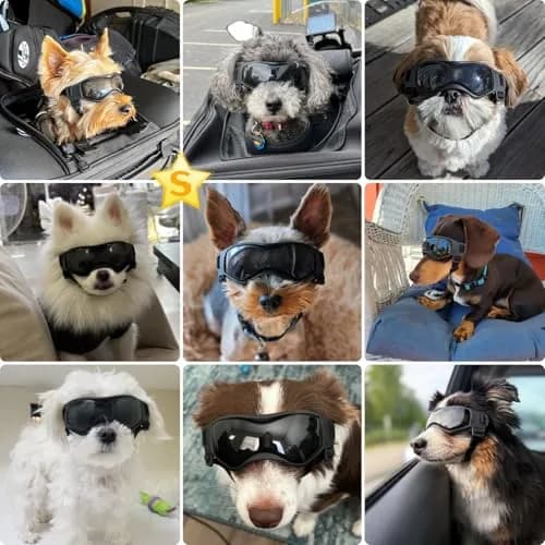 PETLESO Small Breed Dog Goggles | UV Protection Puppy Eyewear for Outdoor Riding Driving, Black S thumbnail 2