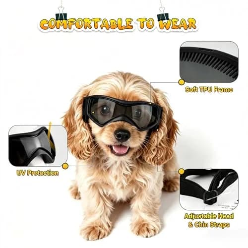 PETLESO Small Breed Dog Goggles | UV Protection Puppy Eyewear for Outdoor Riding Driving, Black S thumbnail 3