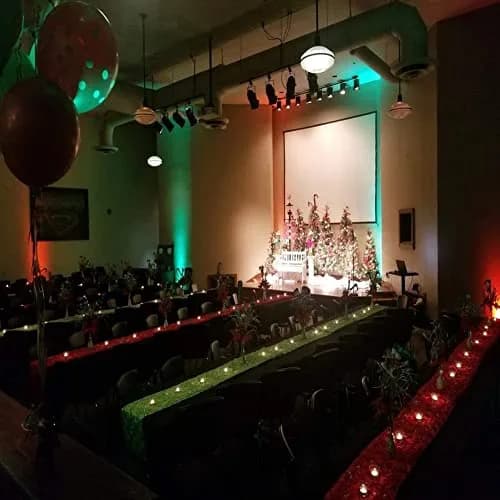Litake DJ Par Lights, RGB 36 LED Stage Lights Sound Activated,Remote & DMX Controlled, 8 Pack | RGB 36 LEDs for Party & Events thumbnail 9