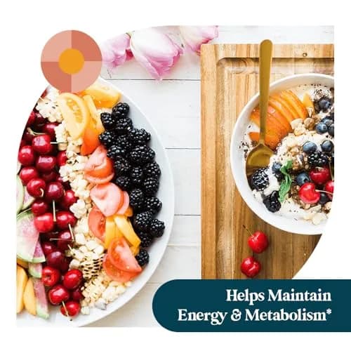 Pattern Wellness Multivitamin for Men & Women – 60 Vegan Capsules | Supports Energy & Whole Body Health thumbnail 5