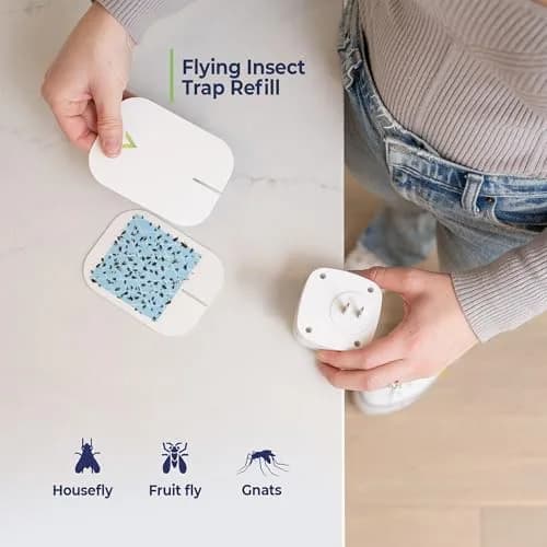 VEYOFLY Fruit Fly & Gnat Trap Refills (10-Pack) | Official USA Import, Non-Toxic Glue Boards thumbnail 4