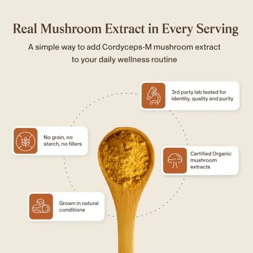 Real Mushrooms Cordyceps Mushroom Powder 150 Servings (5.29 oz / 150 g) | Organic Cordyceps Extract with 8% Beta-Glucans thumbnail 7