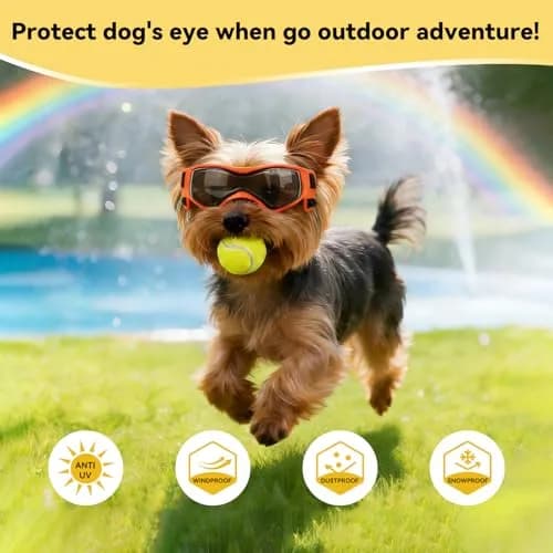 PETLESO Dog Goggles Small Breed, UV Protection, Adjustable Straps, Orange S thumbnail 5