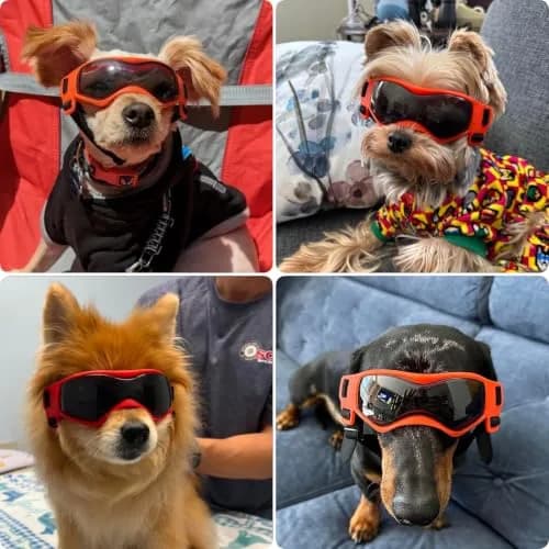 PETLESO Dog Goggles Small Breed, UV Protection, Adjustable Straps, Orange S thumbnail 2