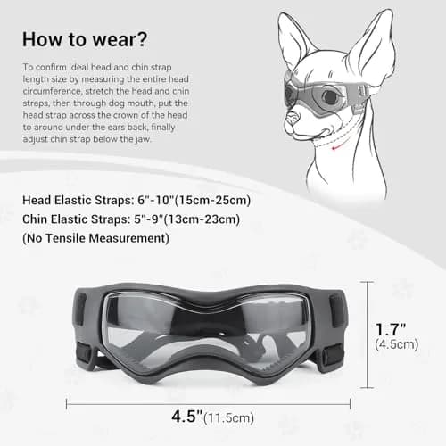 PETLESO Dog Goggles Small Breed UV Protection Adjustable Straps Black S | Outdoor Pet Eyewear for Riding & Hiking thumbnail 4