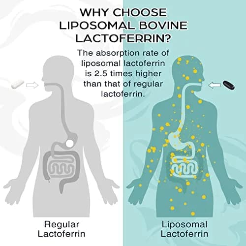 Pepeior Liposomal Bovine Lactoferrin 1000 mg | Higher Absorption for Iron & Immunity (100-120c) thumbnail 2