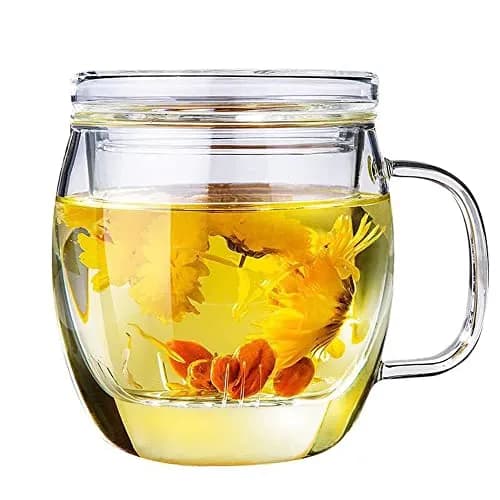 Bunhut Glass Tea Cup with Infuser and Lid | 17 oz Clear Borosilicate Mug for Hot & Cold Beverages thumbnail 1