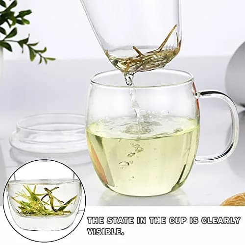 Bunhut Glass Tea Cup with Infuser and Lid | 17 oz Clear Borosilicate Mug for Hot & Cold Beverages thumbnail 9