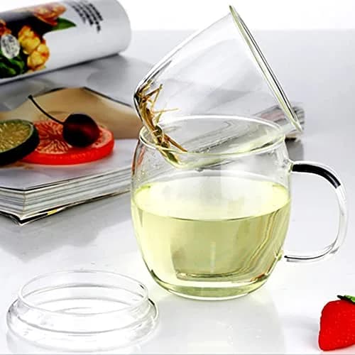 Bunhut Glass Tea Cup with Infuser and Lid | 17 oz Clear Borosilicate Mug for Hot & Cold Beverages thumbnail 3