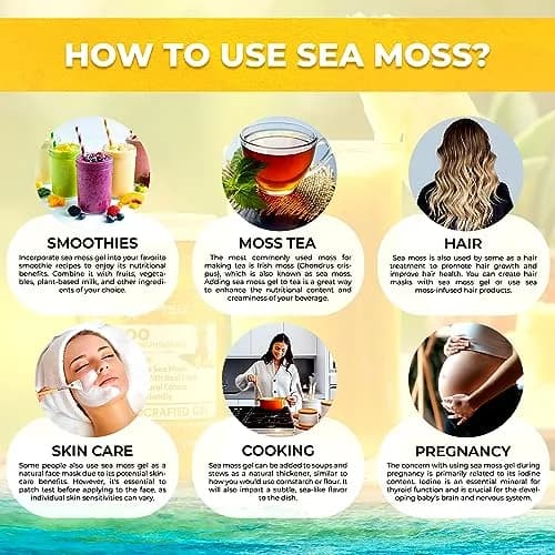 WELLNESS LABSRX Pineapple Sea Moss Gel Superfood 296ml (10 oz) | Nutrient-Rich Caribbean Harvest thumbnail 7