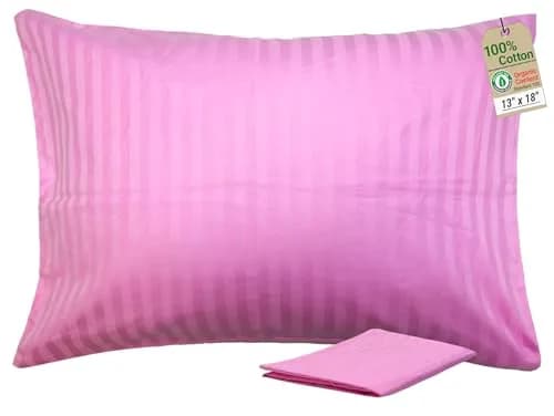 ZPECC Toddler Pillow with Pillowcase - 13x18 Organic Cotton Hypoallergenic Kids Pillow for Travel & Nursery thumbnail 1