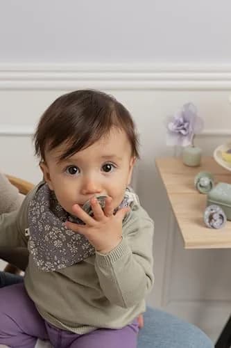 Bibs Pacifier Box, Sterilizer Case, Travel-Friendly, Eloise Ivory | Hygienic & Stylish Baby Accessory thumbnail 6