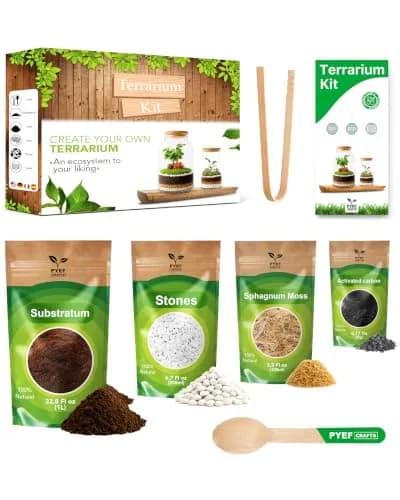 PYEF CRAFTS DIY Terrarium Kit with Succulents & Indoor Plants Supplies | 1.9L (64 fl oz) thumbnail 1