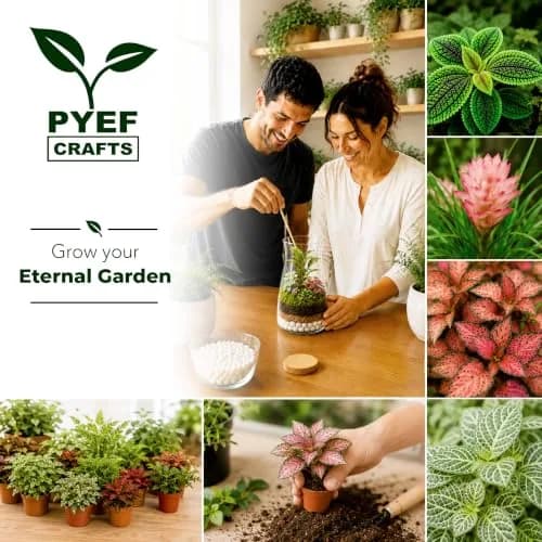 PYEF CRAFTS DIY Terrarium Kit with Succulents & Indoor Plants Supplies | 1.9L (64 fl oz) thumbnail 7