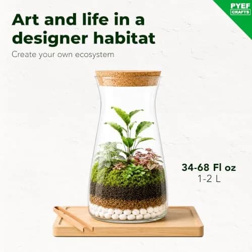 PYEF CRAFTS DIY Terrarium Kit with Succulents & Indoor Plants Supplies | 1.9L (64 fl oz) thumbnail 2