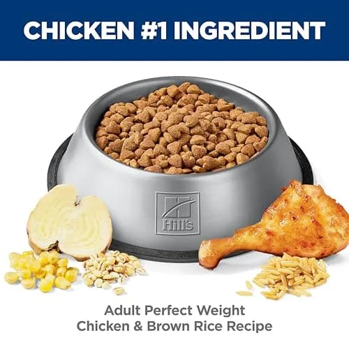 Hill's Science Diet Adult Perfect Weight Chicken & Brown Rice Recipe Dry Dog Food 5.44 kg (12 lb) | Clinically Proven Weight Management thumbnail 4
